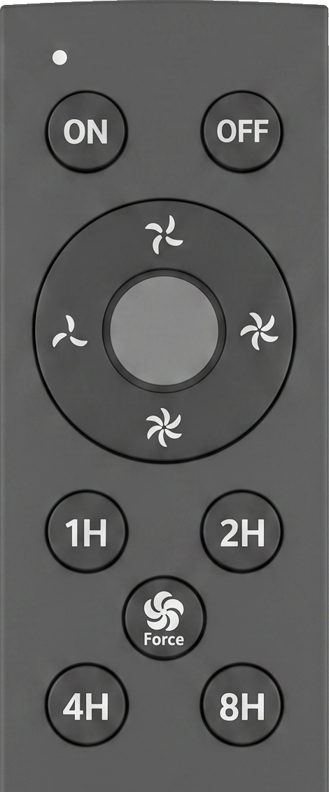 JustBrisk multi-function remote control