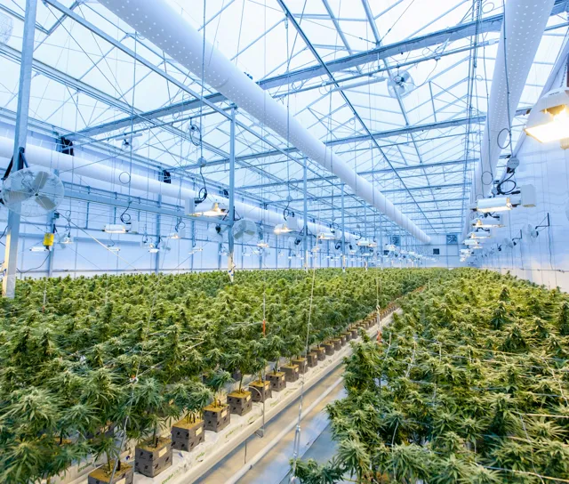 Agricultural greenhouse ventilated by solar fans